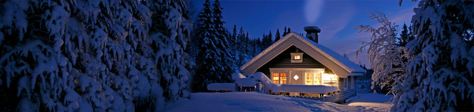 Cabin in Woods Winter